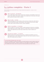 Guía Digital Masajes Faciales Linfáticos